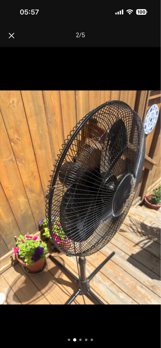Black Pedestal Fan - photo 2