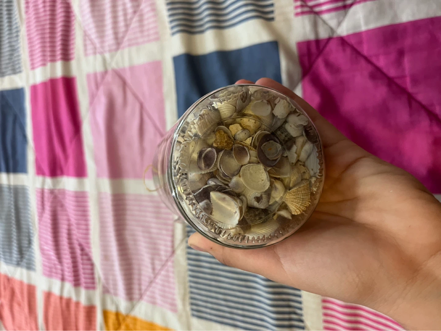 Dolphin Candle Holder with Seashell Jar - photo 4
