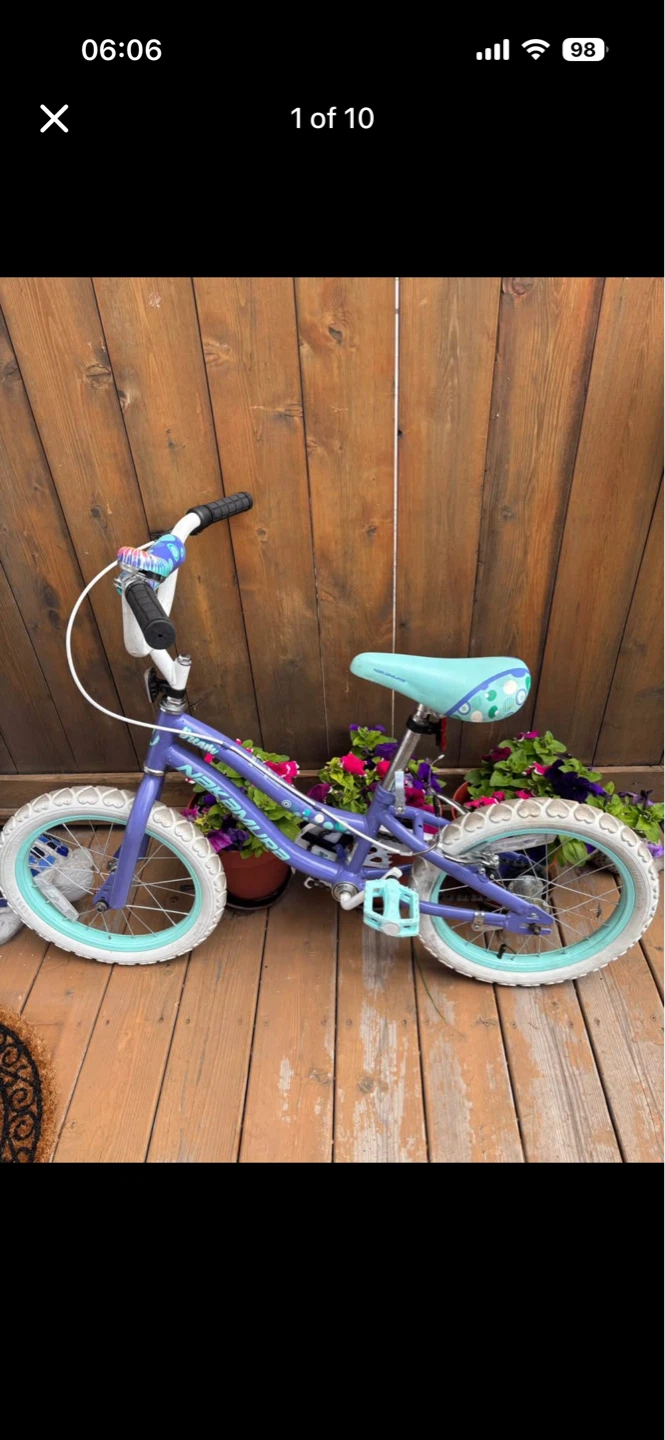 Nakamura Dream Bike - Purple