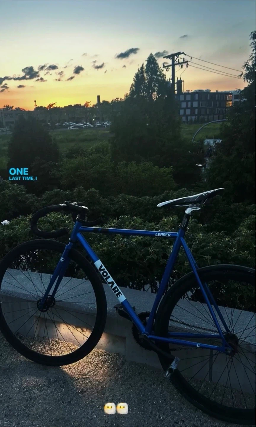 Blue Volare Leader Fixed gear