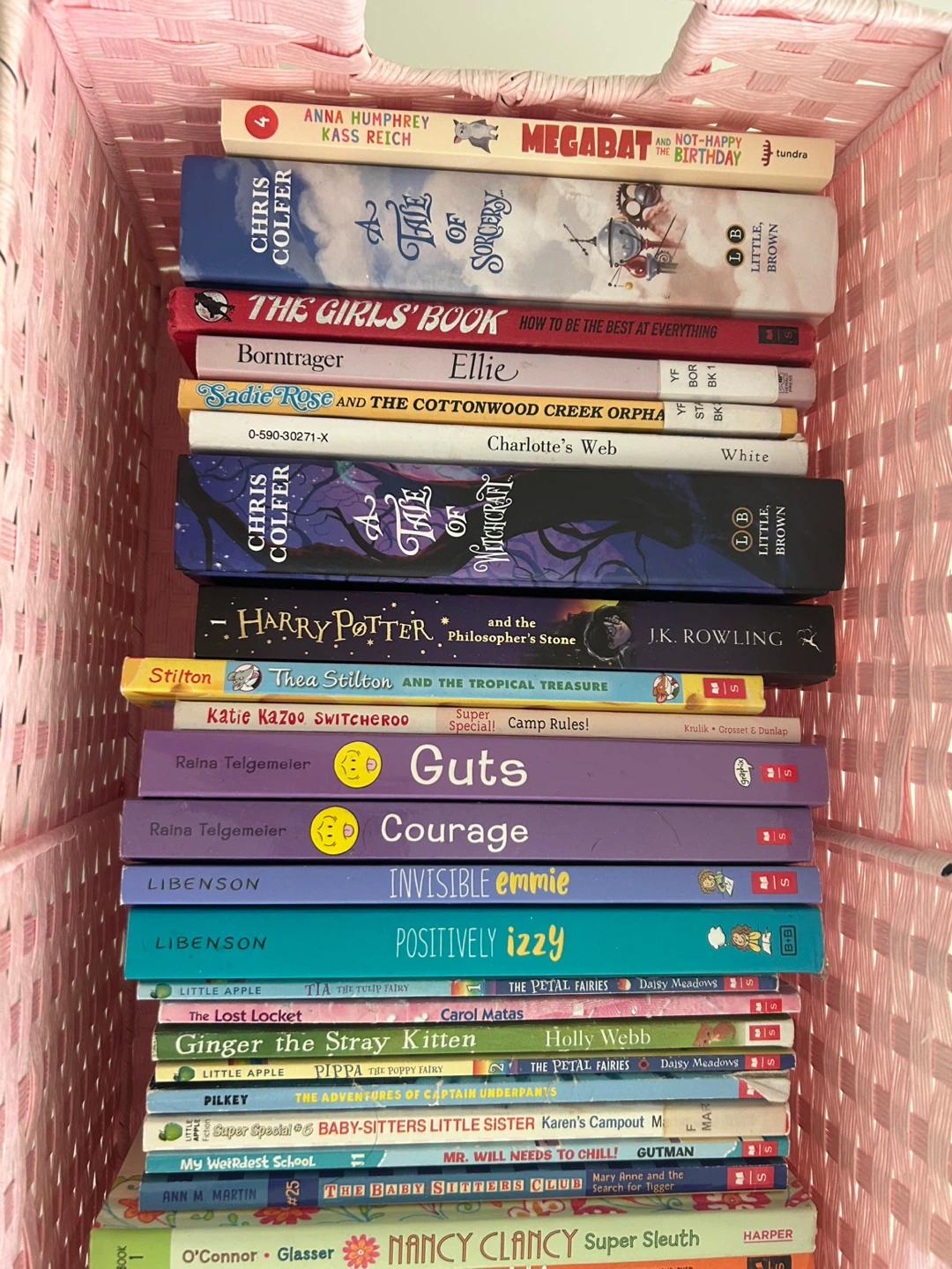 Collection of young teen Books