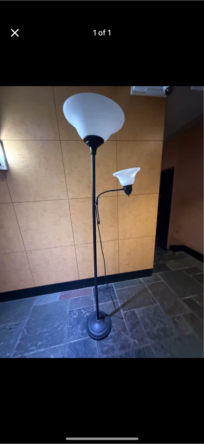 Black Floor Lamp with Reading Light