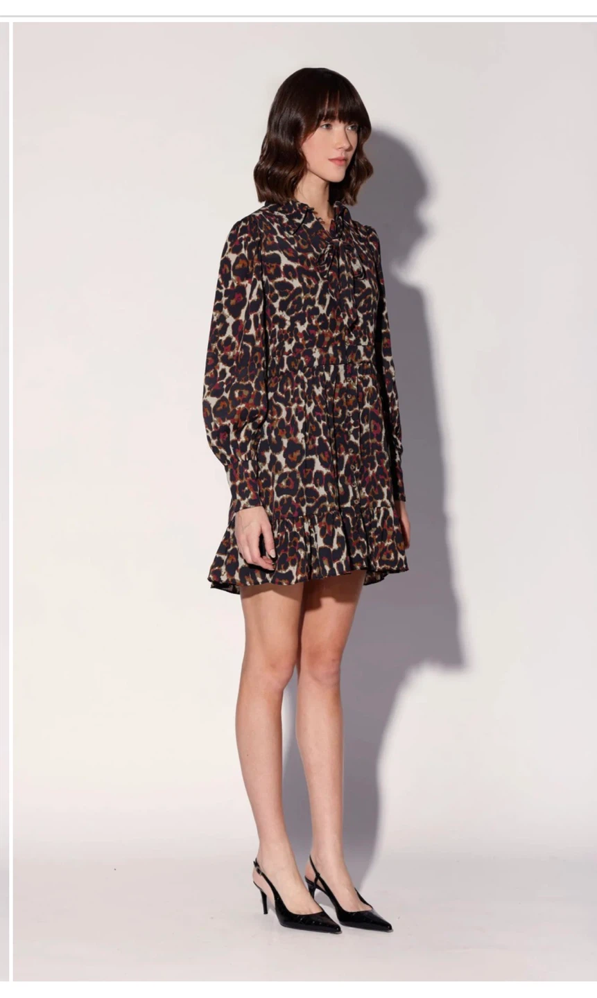 Women's Leopard Print Long Sleeve Mini Dress