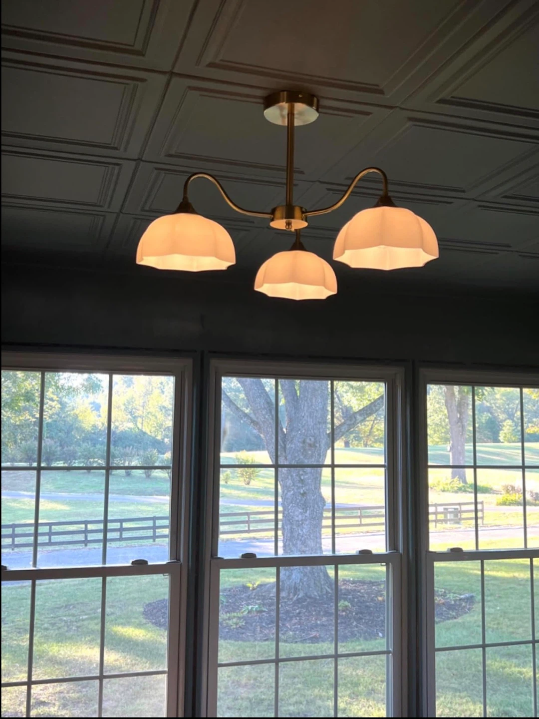 Magiroz Mid Century Modern 3 Light Chandelier - BNIB - photo 5