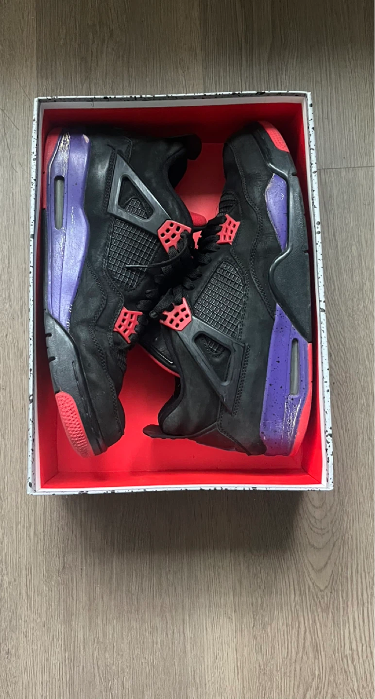 Air Jordan 4 Raptor