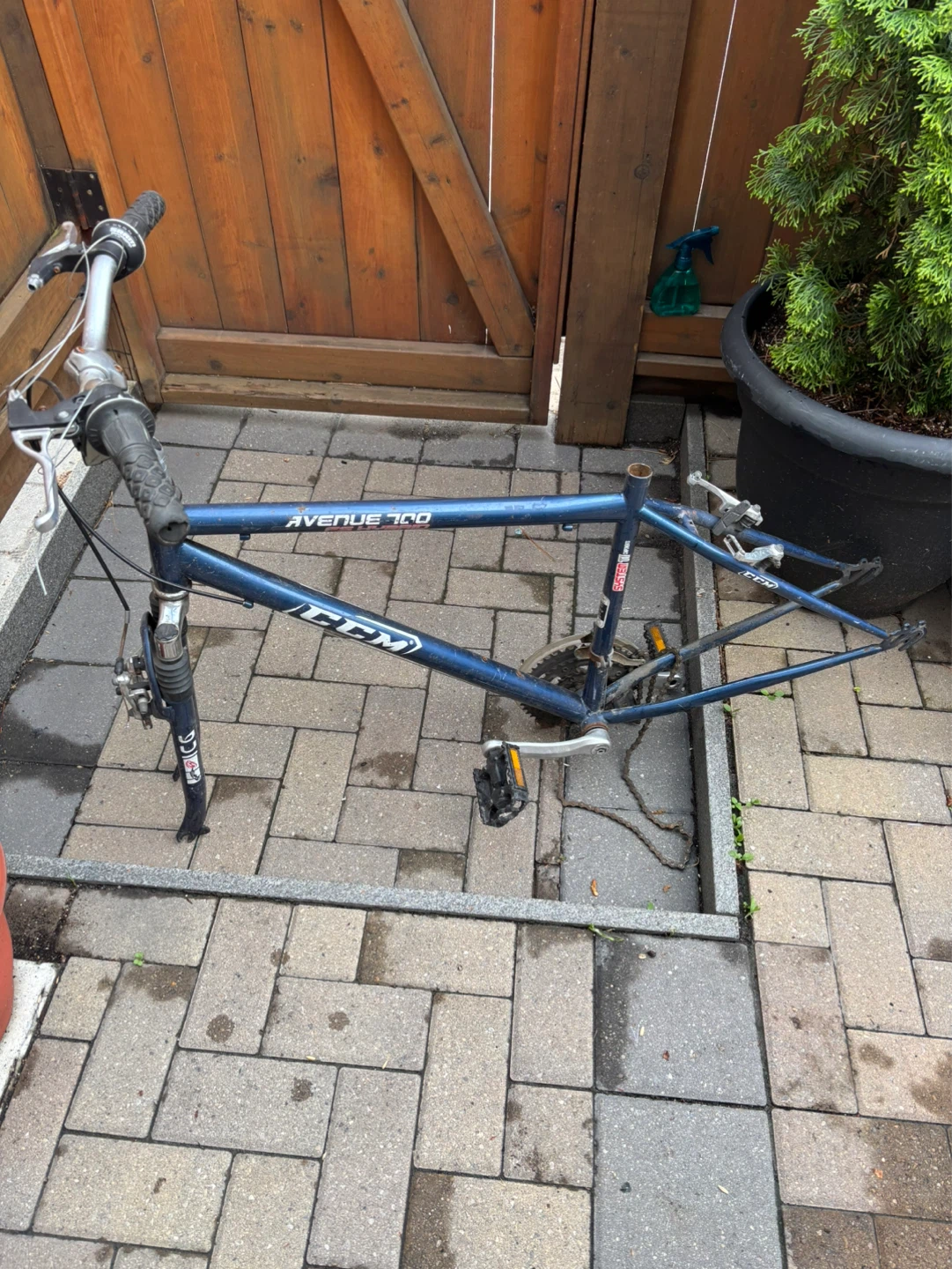 CCM Avenue 700 Bicycle Frame