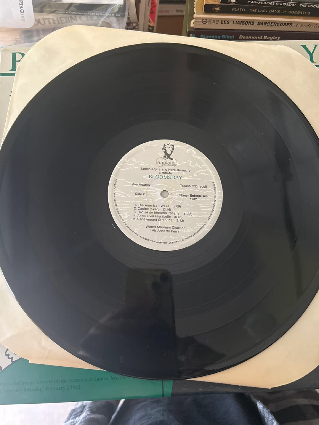 Bloomsday Vinyl Record - James Joyce and Nora Barnacle Tribute - photo 3