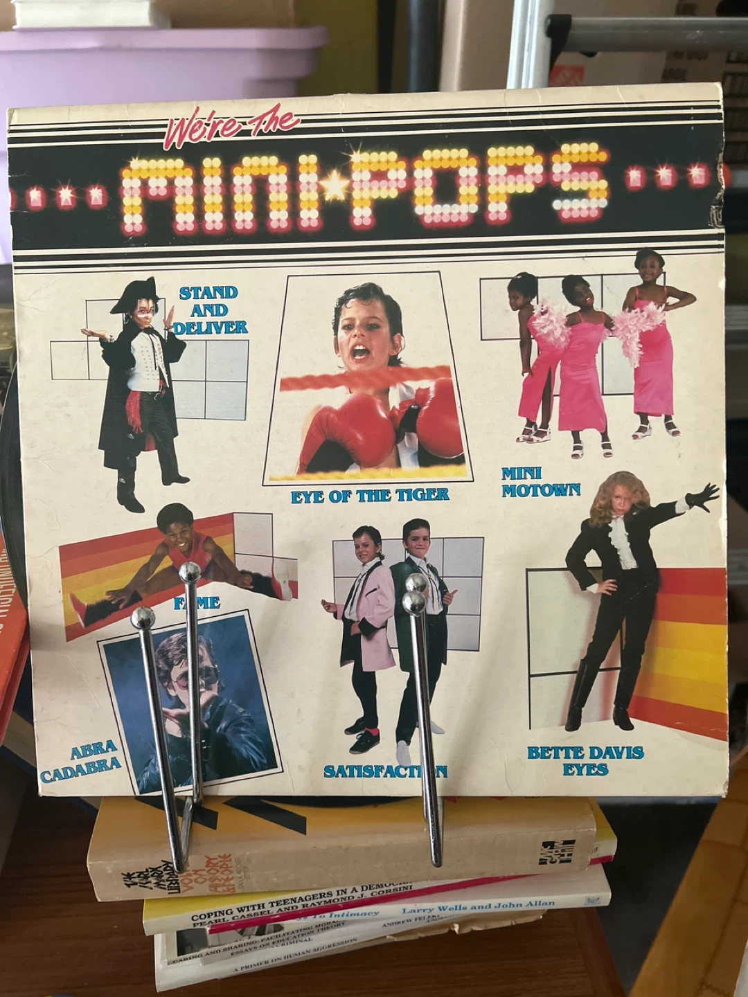 We're the Mini Pops Vinyl Record