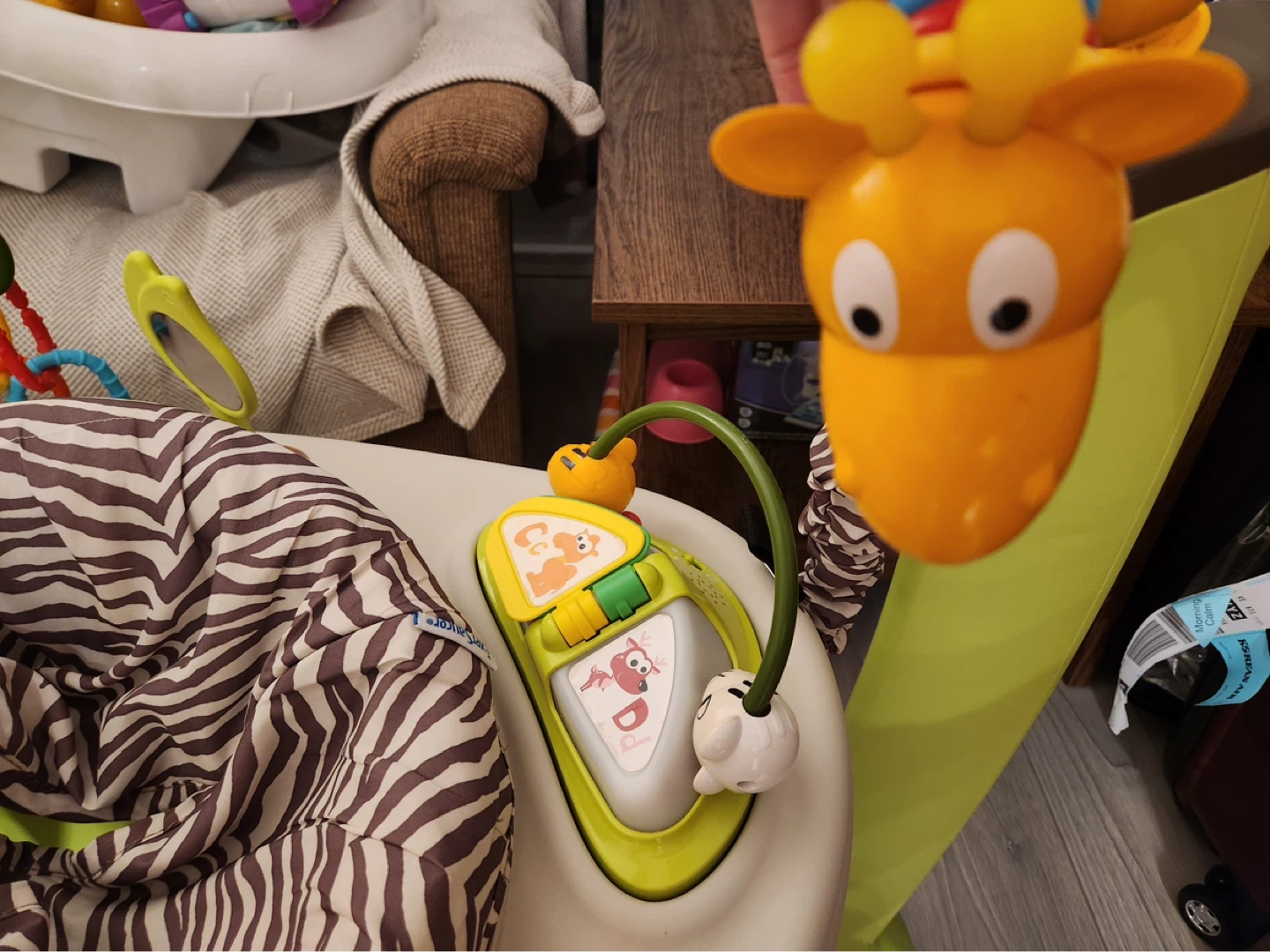 Fisher-Price Jumperoo Baby Activity Center - photo 2