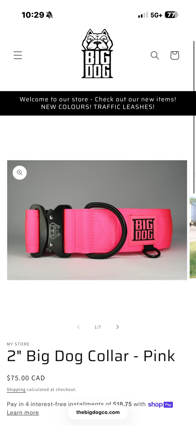 Collar and leash set