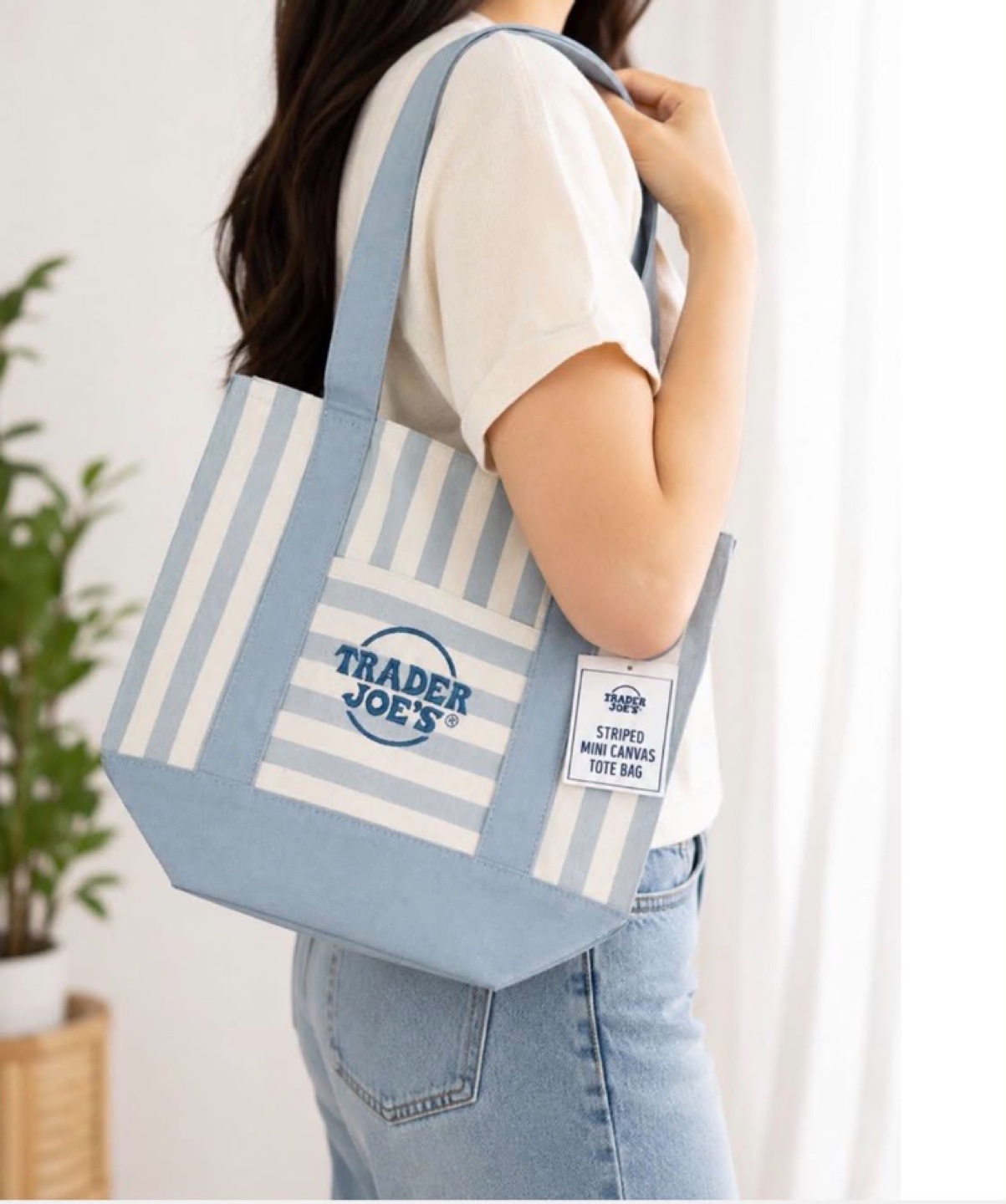 Trader Joe's Striped Mini Canvas Tote Bag - photo 2