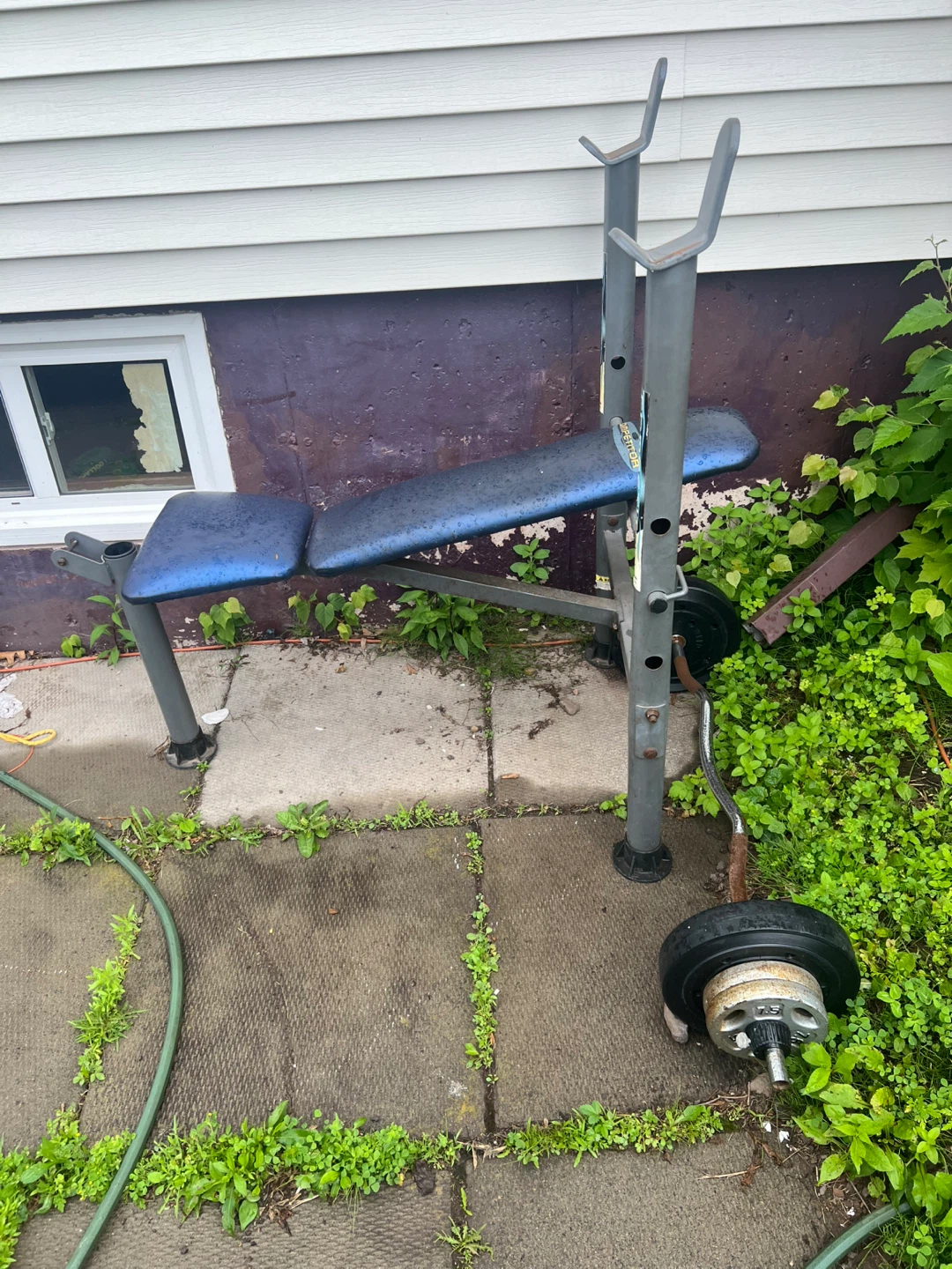 Weight Bench with Barbell and Weights