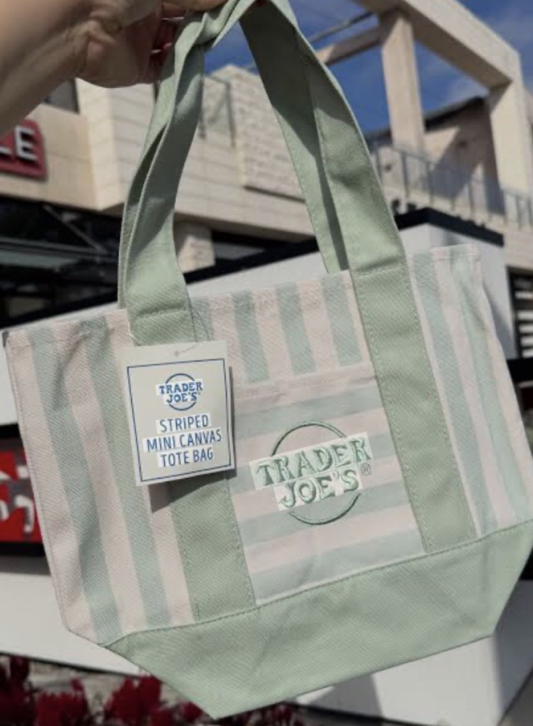 Trader Joe's Striped Mini Canvas Tote Bag