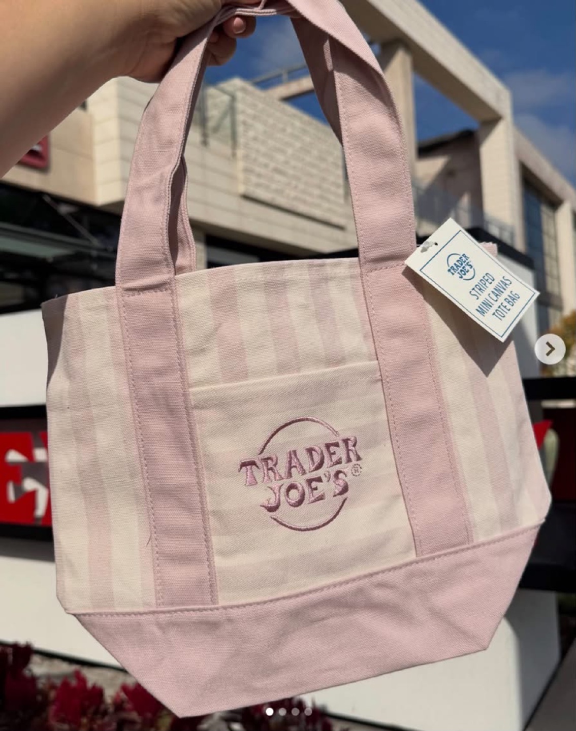 Trader Joe's Striped Mini Canvas Tote Bag