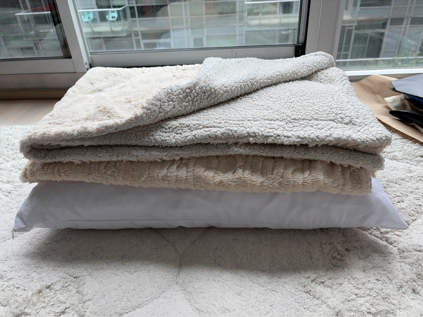 Free pillow + blanket