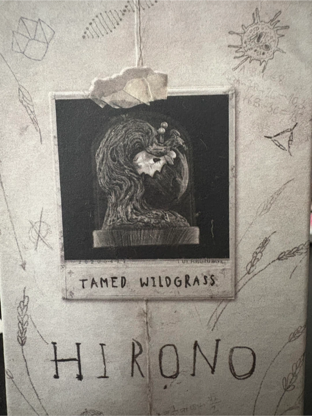 Hirono: Tamed Wildgrass || Boiling Frog - photo 2