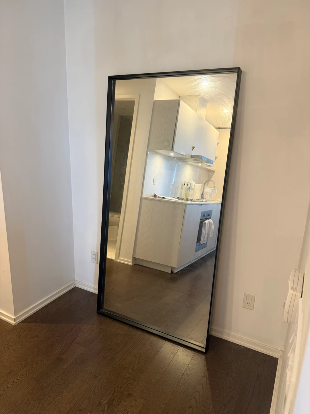 Full Length Black Framed Mirror