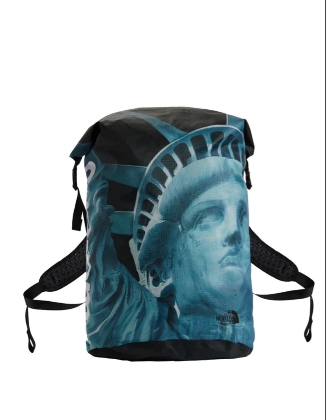 Supreme The North Face Statue of Liberty Backpack