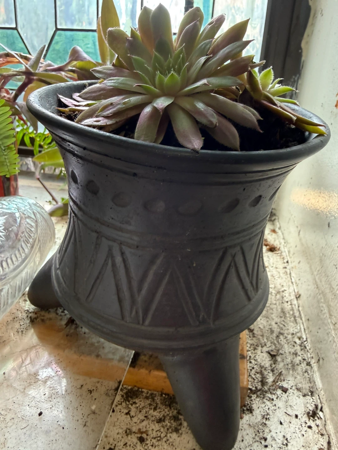 Potted Succulent Plant 8” - photo 2