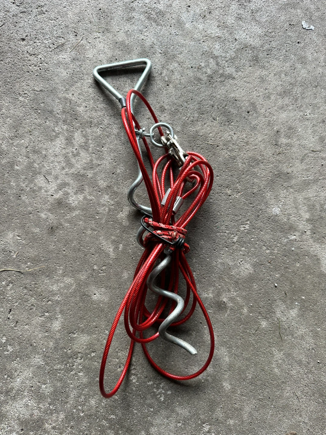 Dog Tie Out Stake and Cable