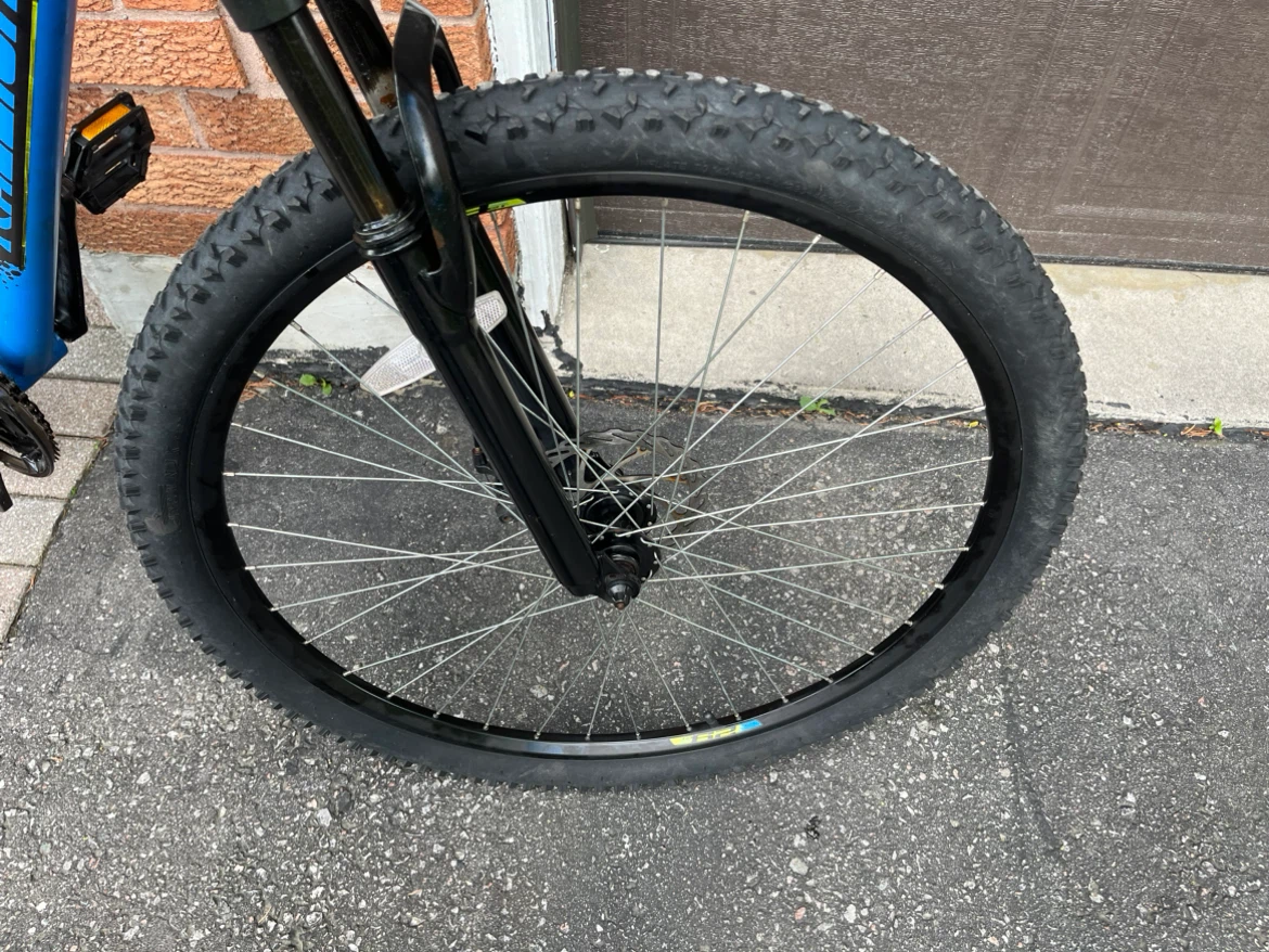 Raleigh Blue Full Suspension Mountain Bike - photo 4