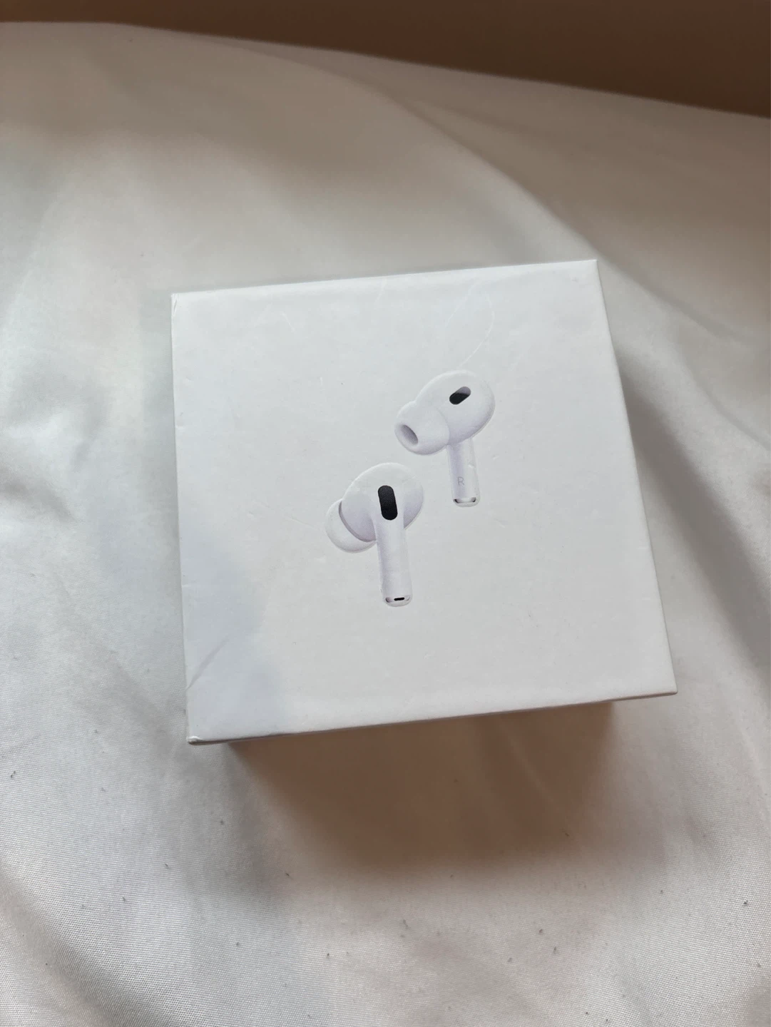 Apple AirPods Pro 2 (Price Negotiable)