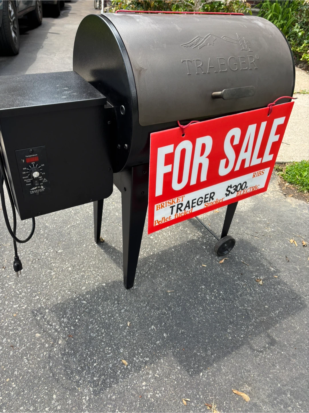 Traeger Pellet Smoker