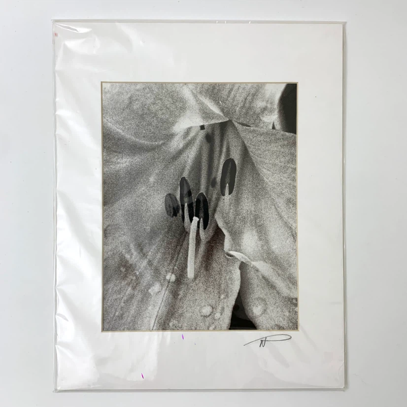 Art Print Photography Neal Panton Archival 11x14 Home Wall Decor