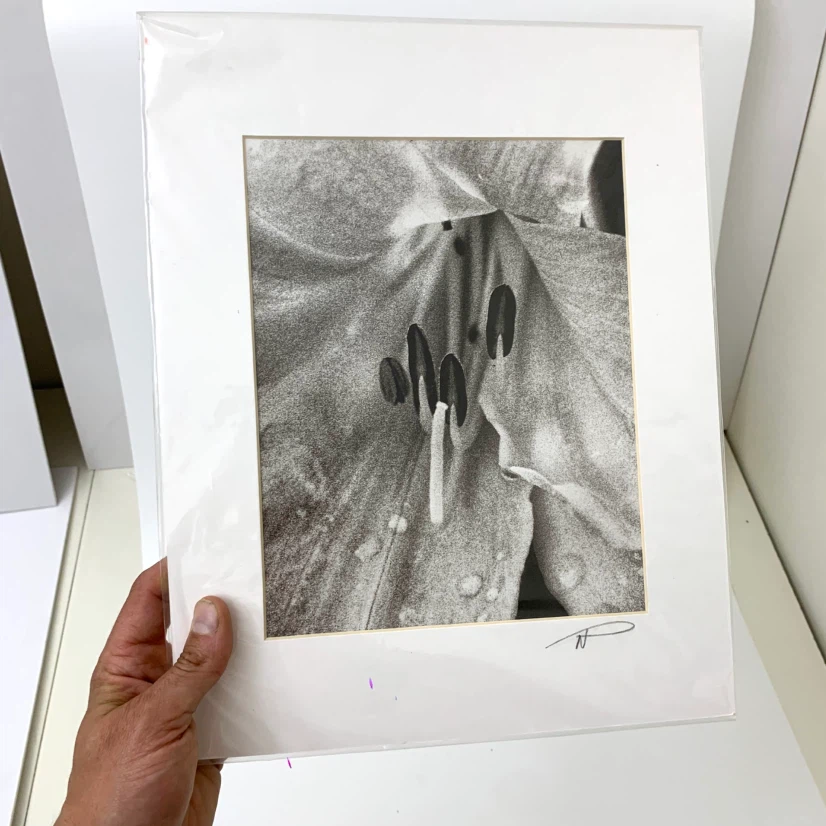 Art Print Photography Neal Panton Archival 11x14 Home Wall Decor - photo 2