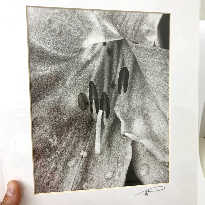 Art Print Photography Neal Panton Archival 11x14 Home Wall Decor - photo 4