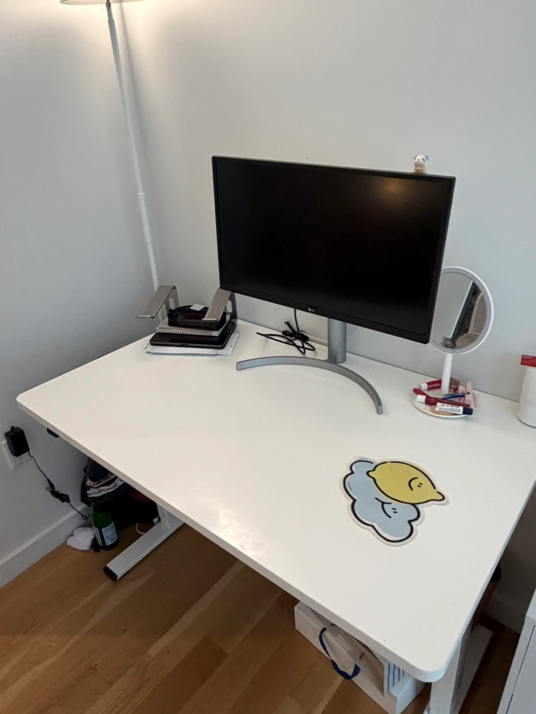 Flexispot Standing Desk 48 x 24