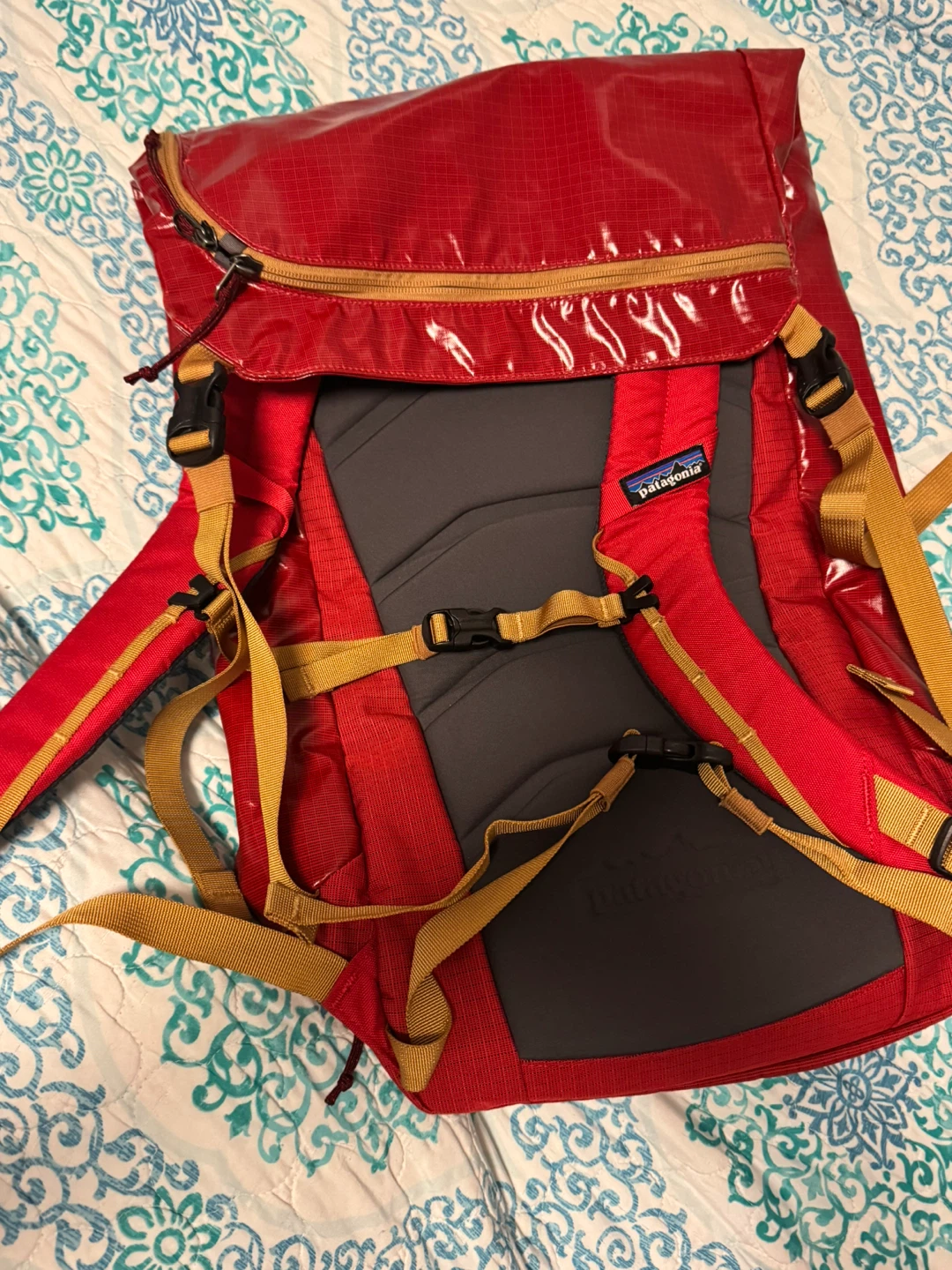 Patagonia Red Backpack
