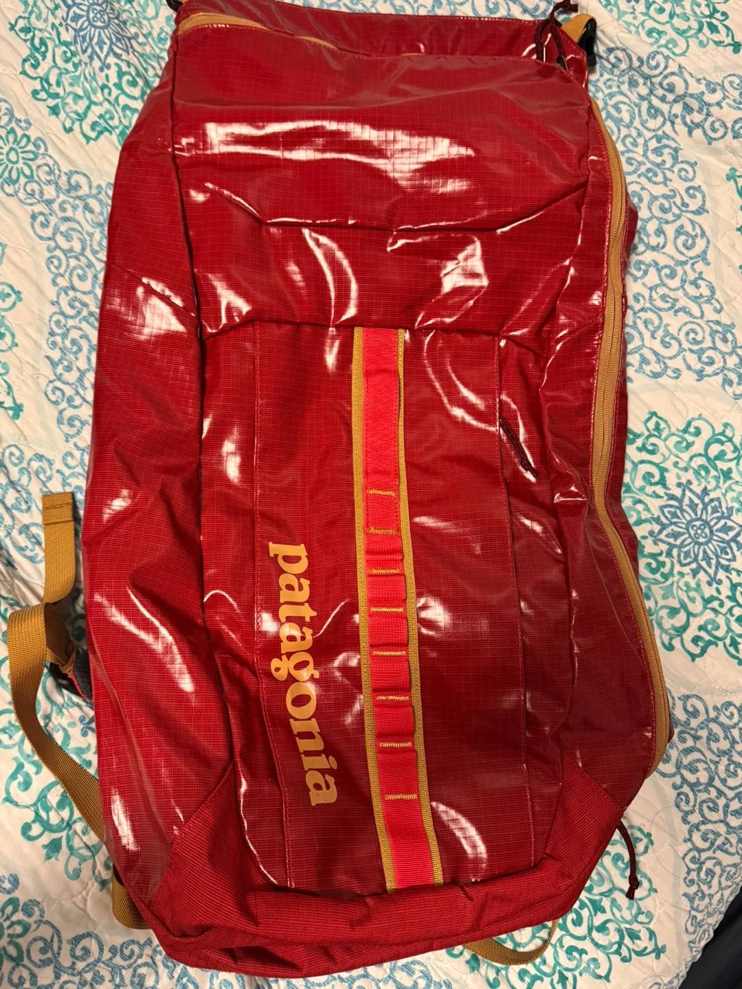 Patagonia Red Backpack - photo 3
