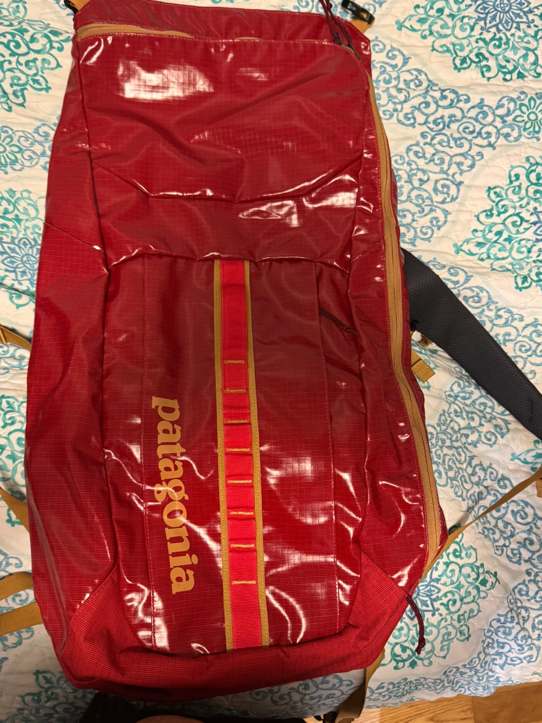 Patagonia Red Backpack - photo 4