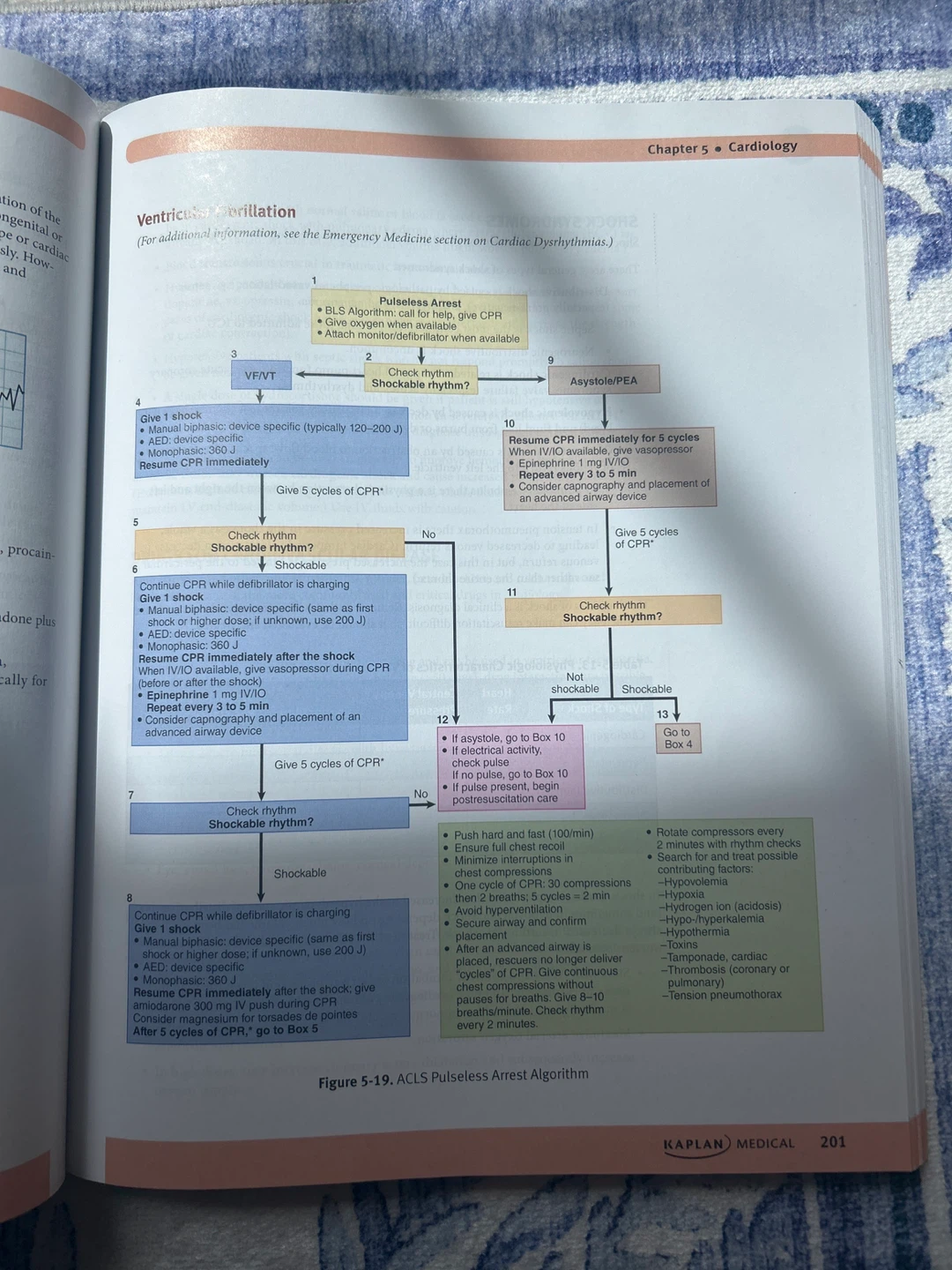(Paperback) MCCQE/USMLE Step 2 CK Lecture Notes - IM - photo 2