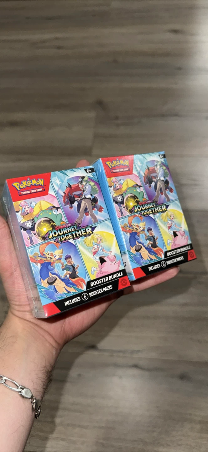 Journey together pokemonn