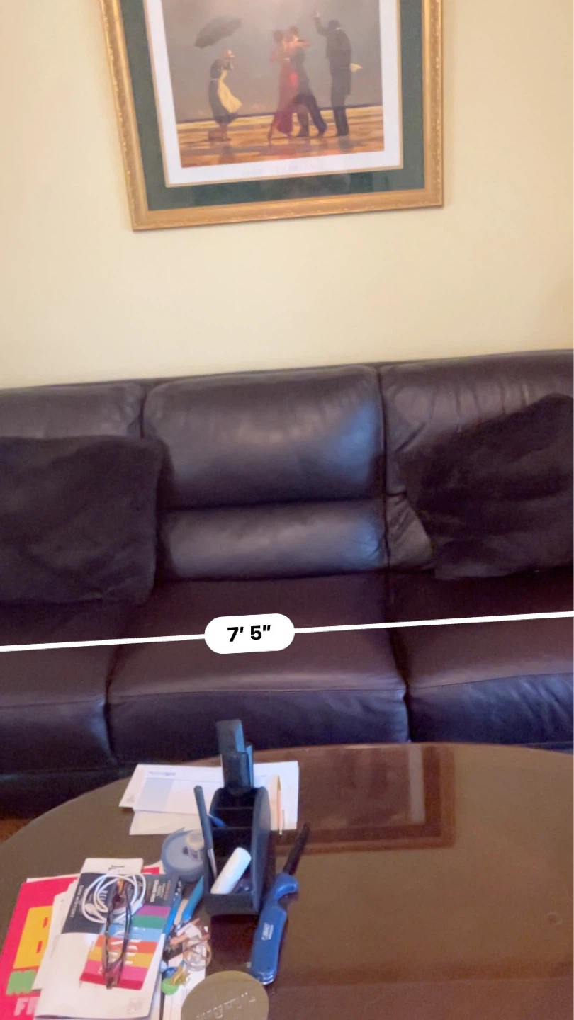 Dark Brown Leather Sofa