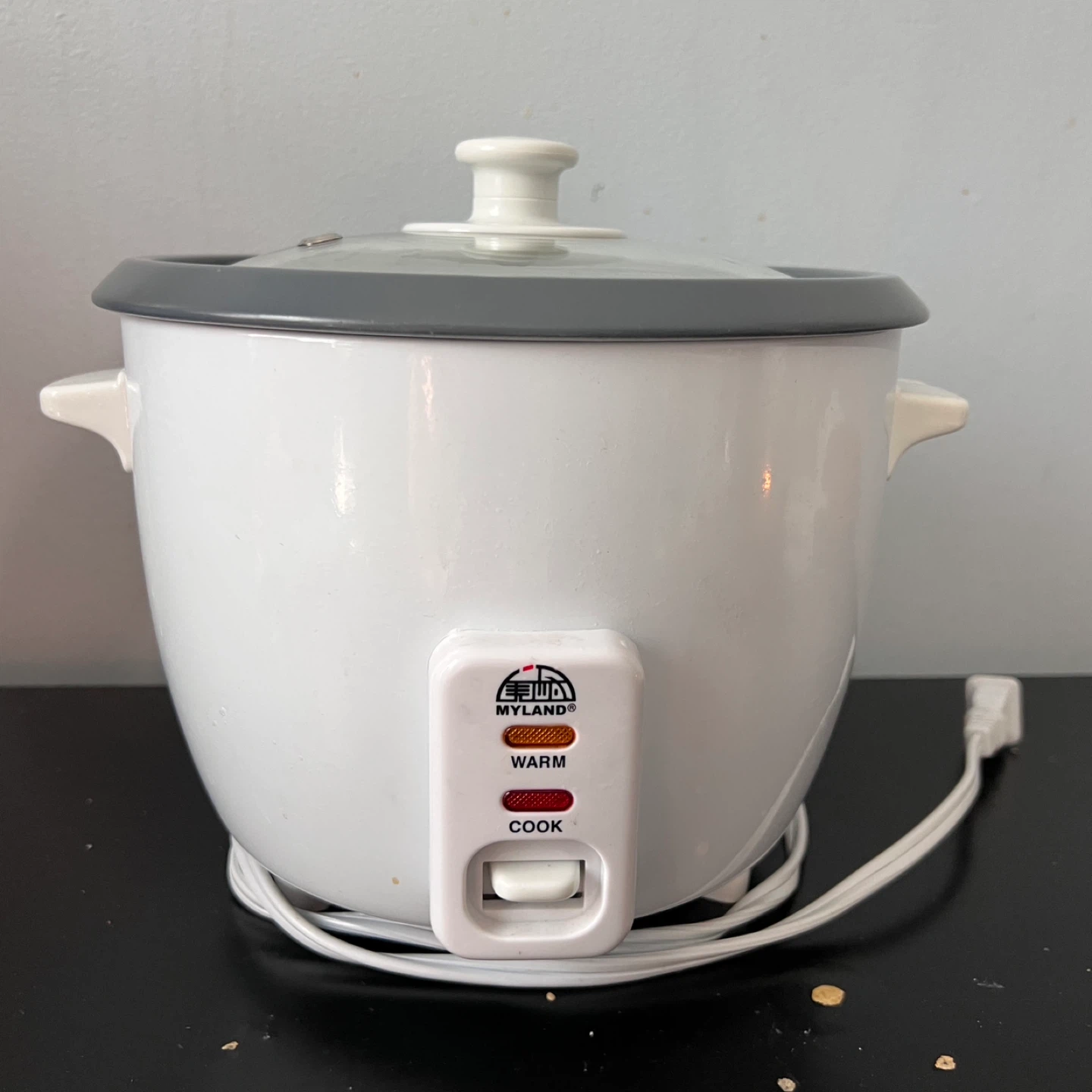 Rice Cooker