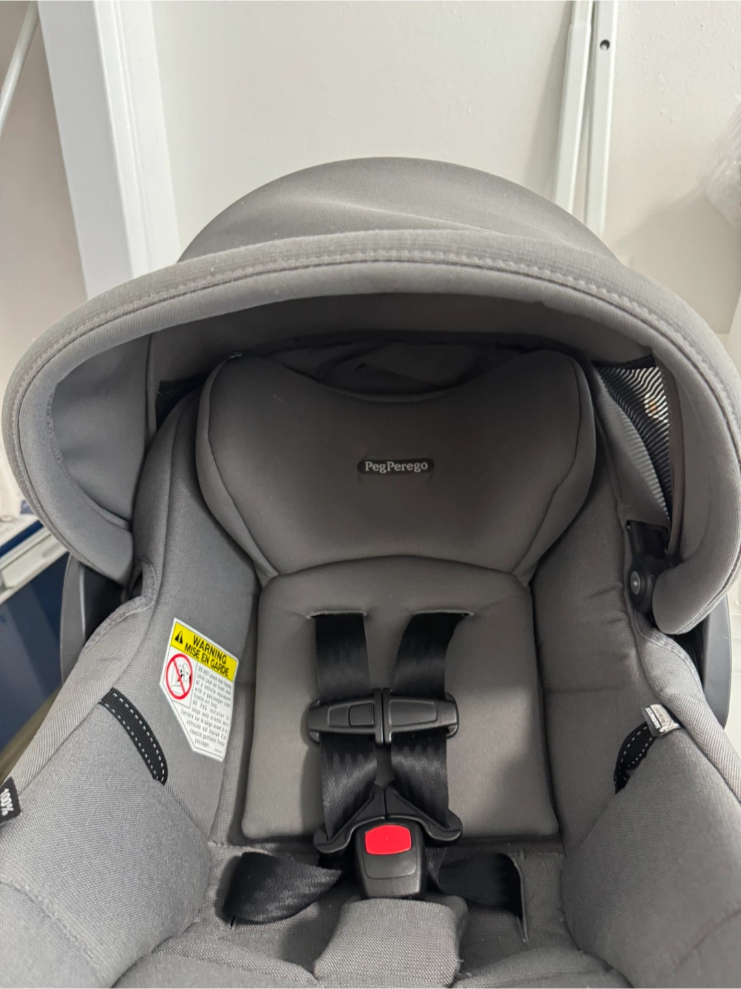 Peg Perego Primo Viaggio infant car seat
