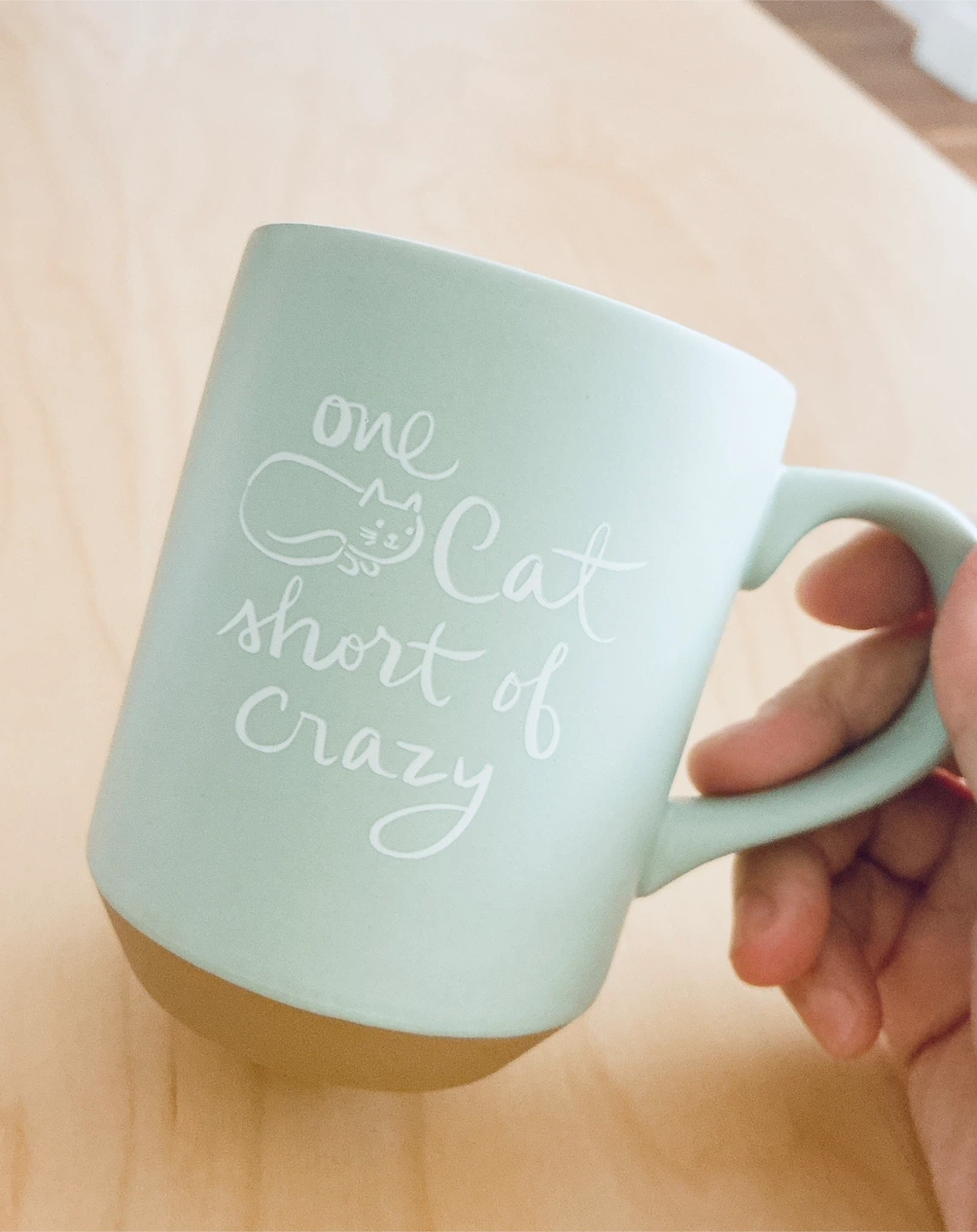 Pet Shop "One Cat Short of Crazy" Mug - photo 2