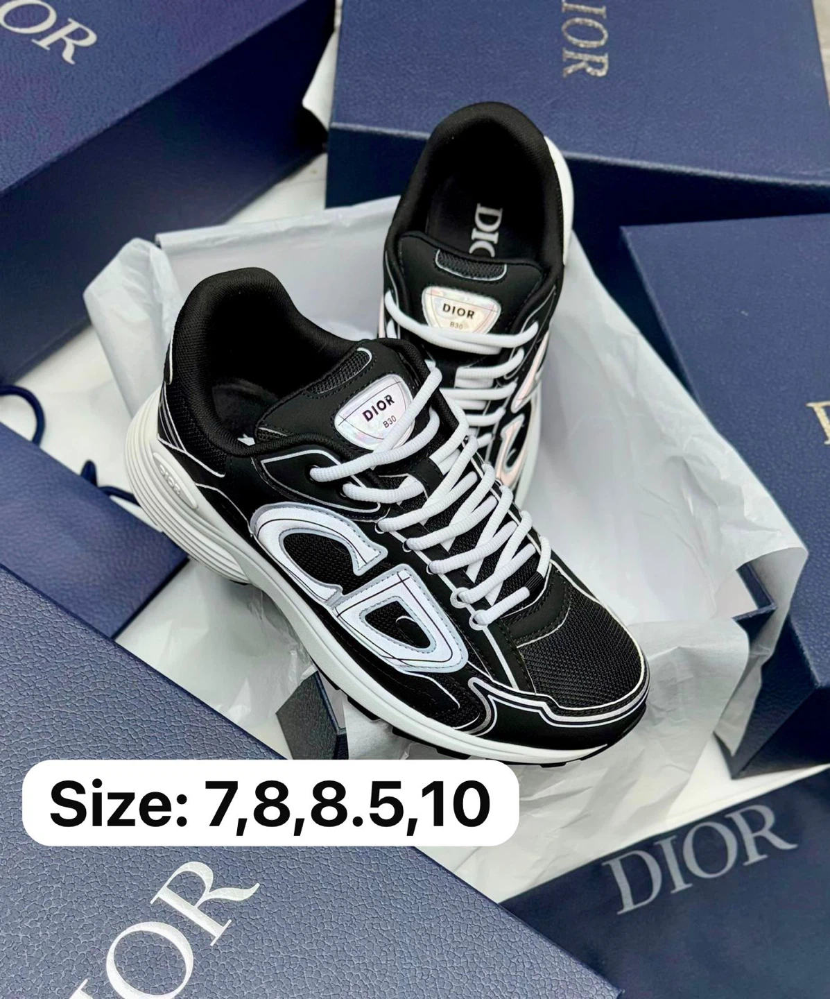 Dior B30 Sneakers Black White