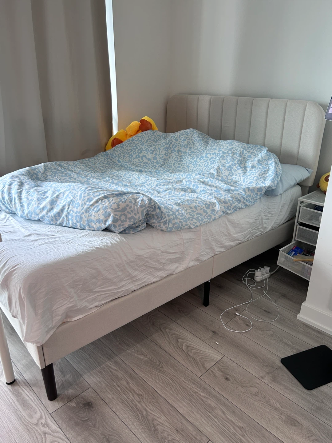 Free queenBed Frame