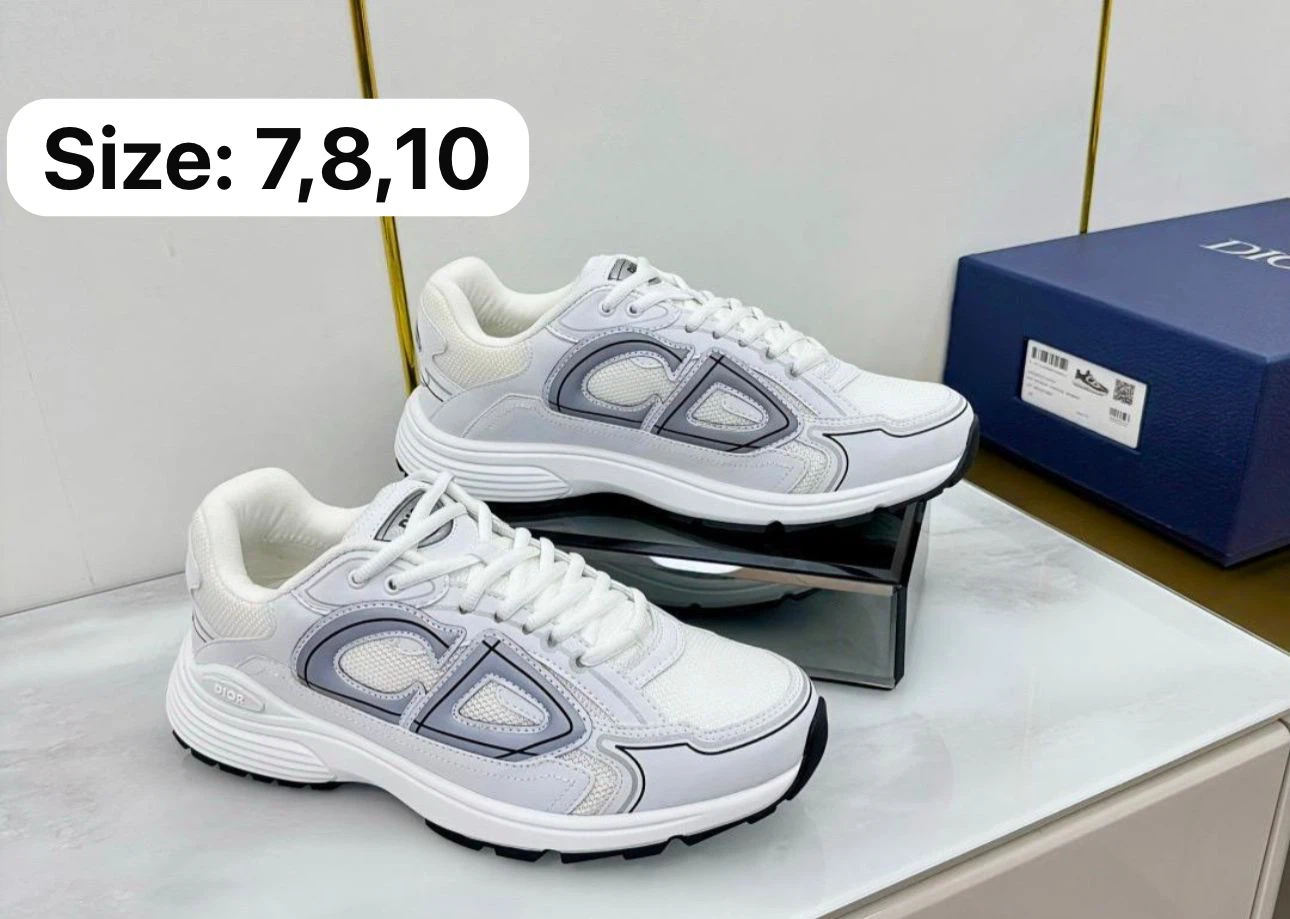 Dior B27 Low Top Sneakers