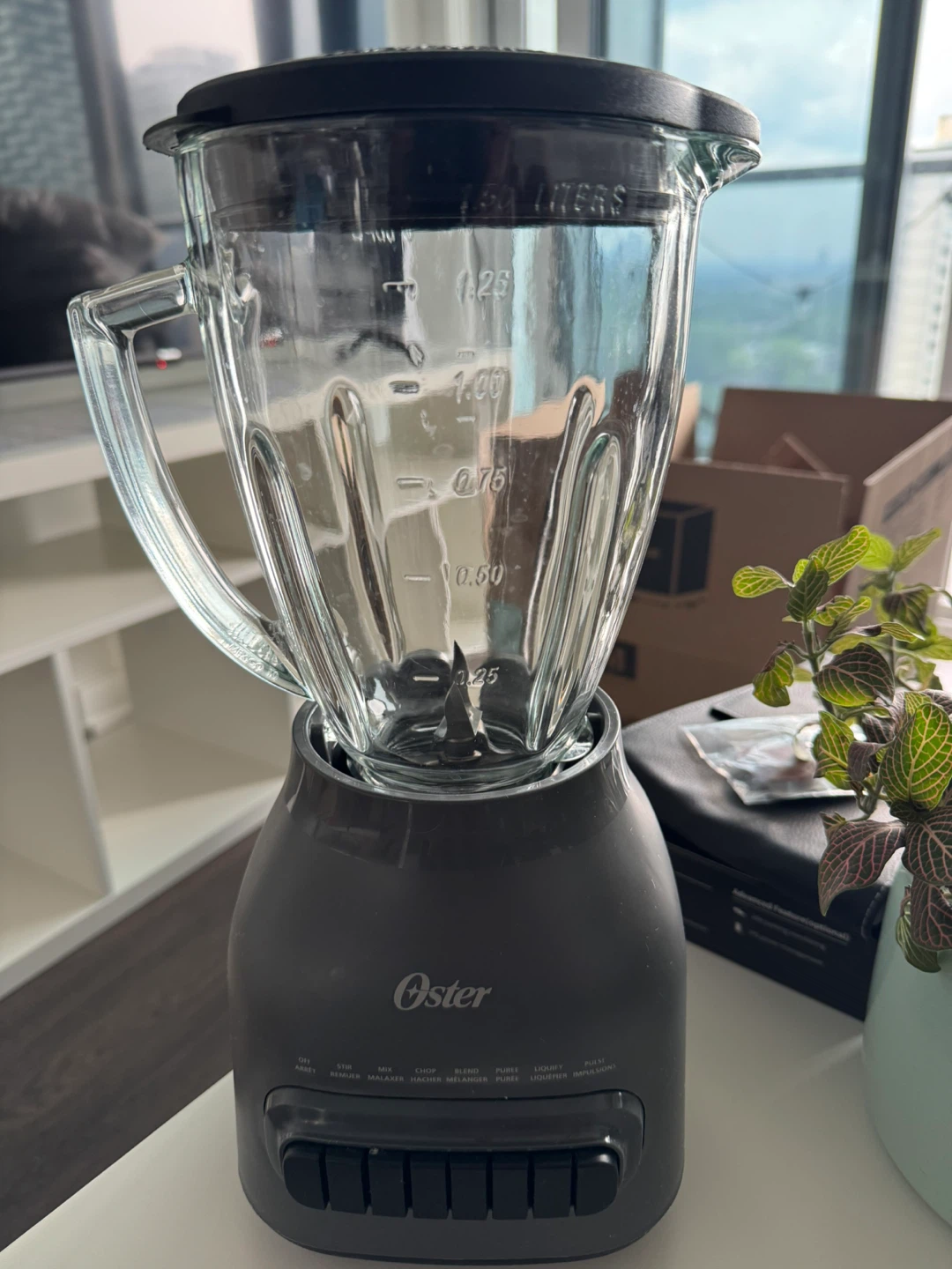 Oster Blender