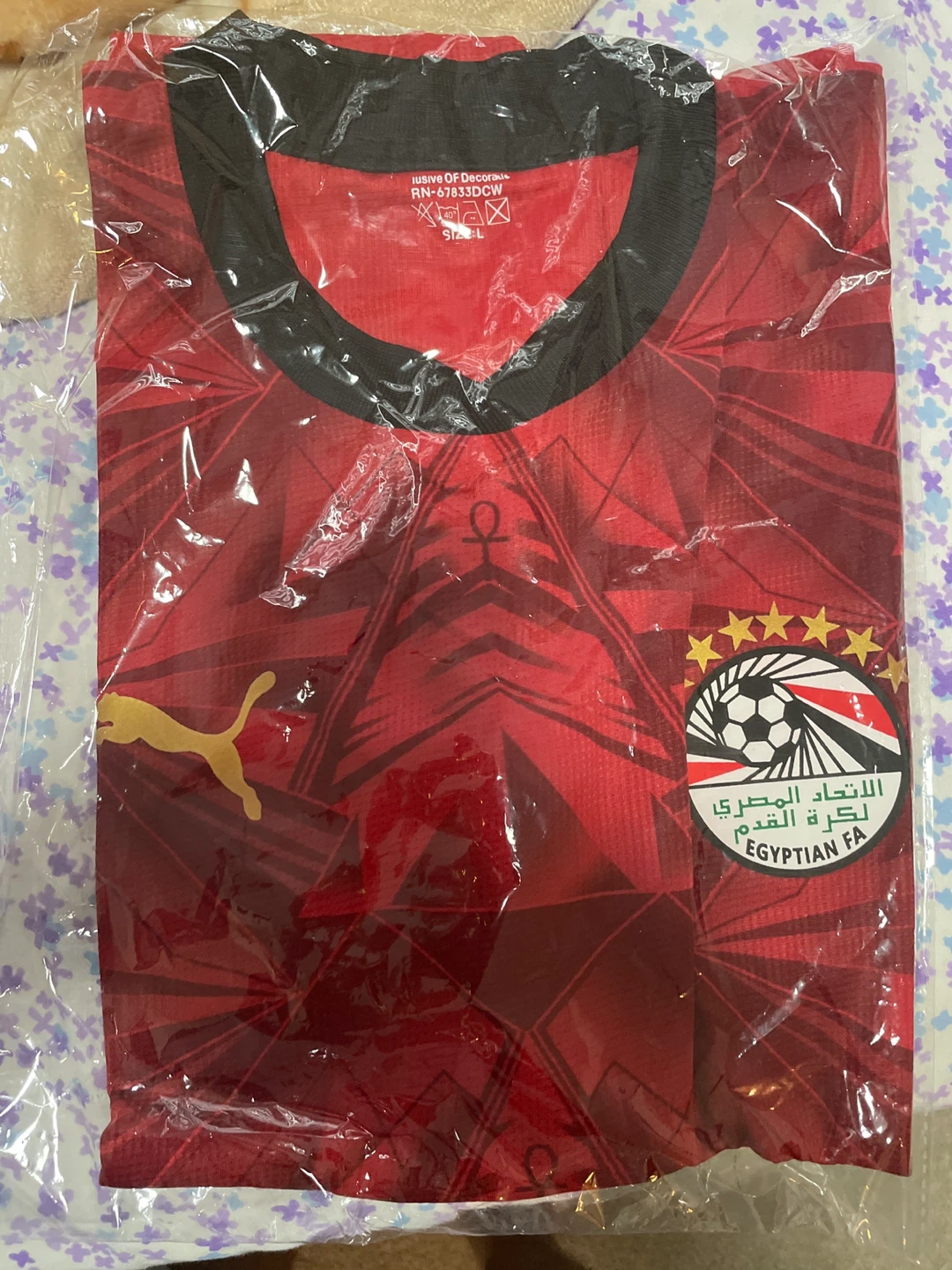 Puma Egypt National Football Team Soccer Jersey