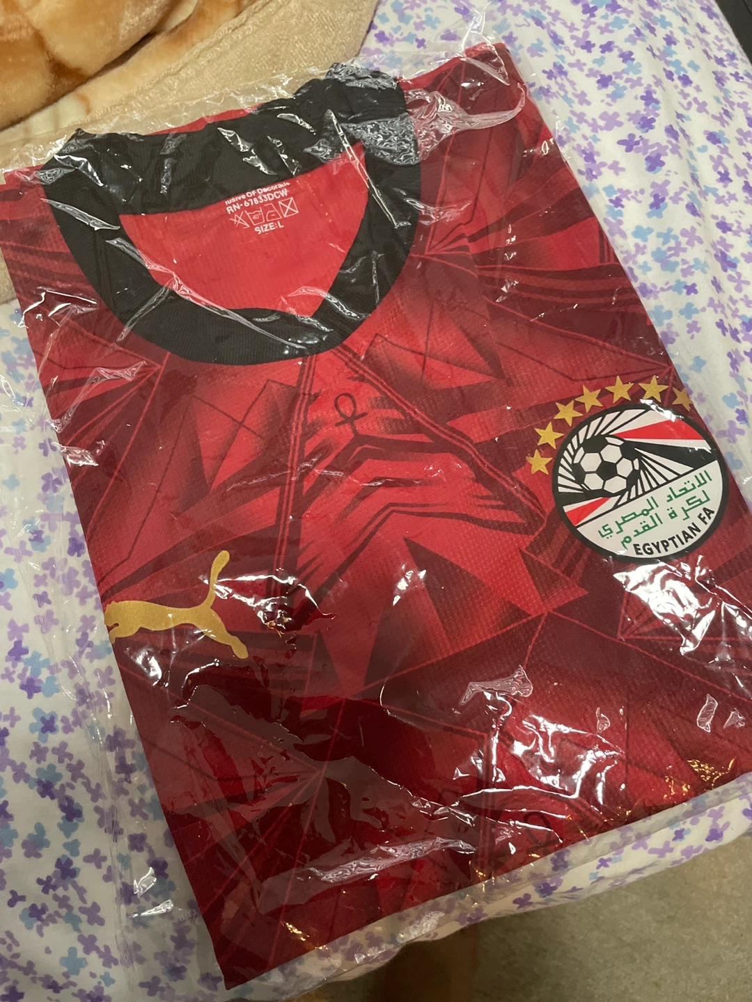 Puma Egypt National Football Team Soccer Jersey - photo 2