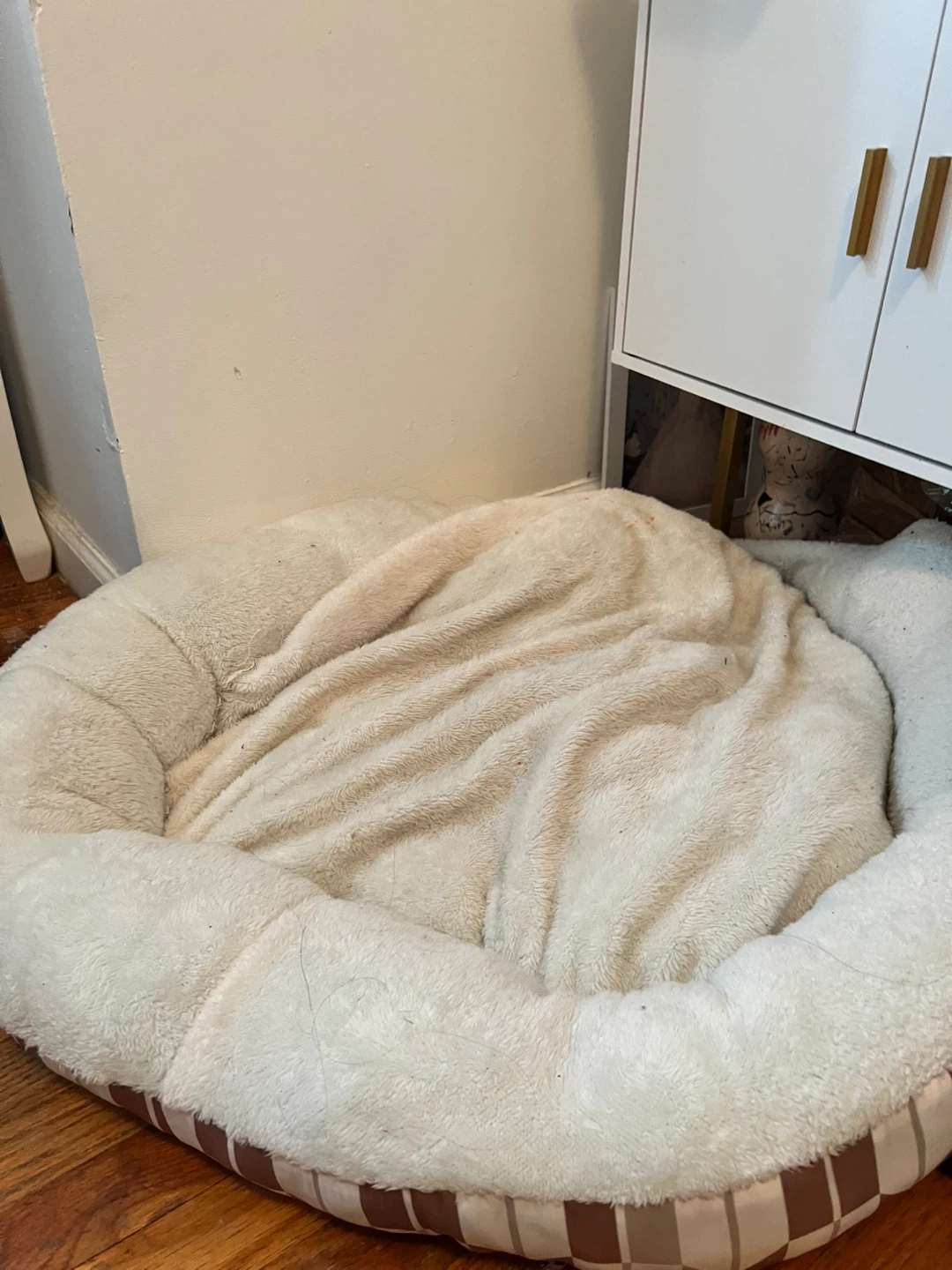 Plush Pet Bed