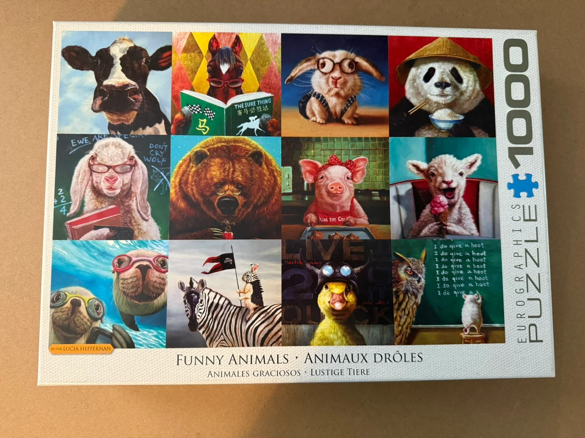 1000 Piece Puzzle