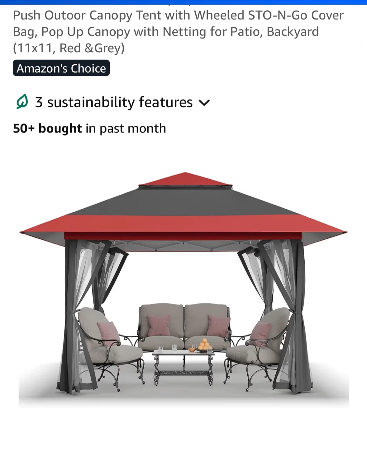 Outdoor 10ft Canopy