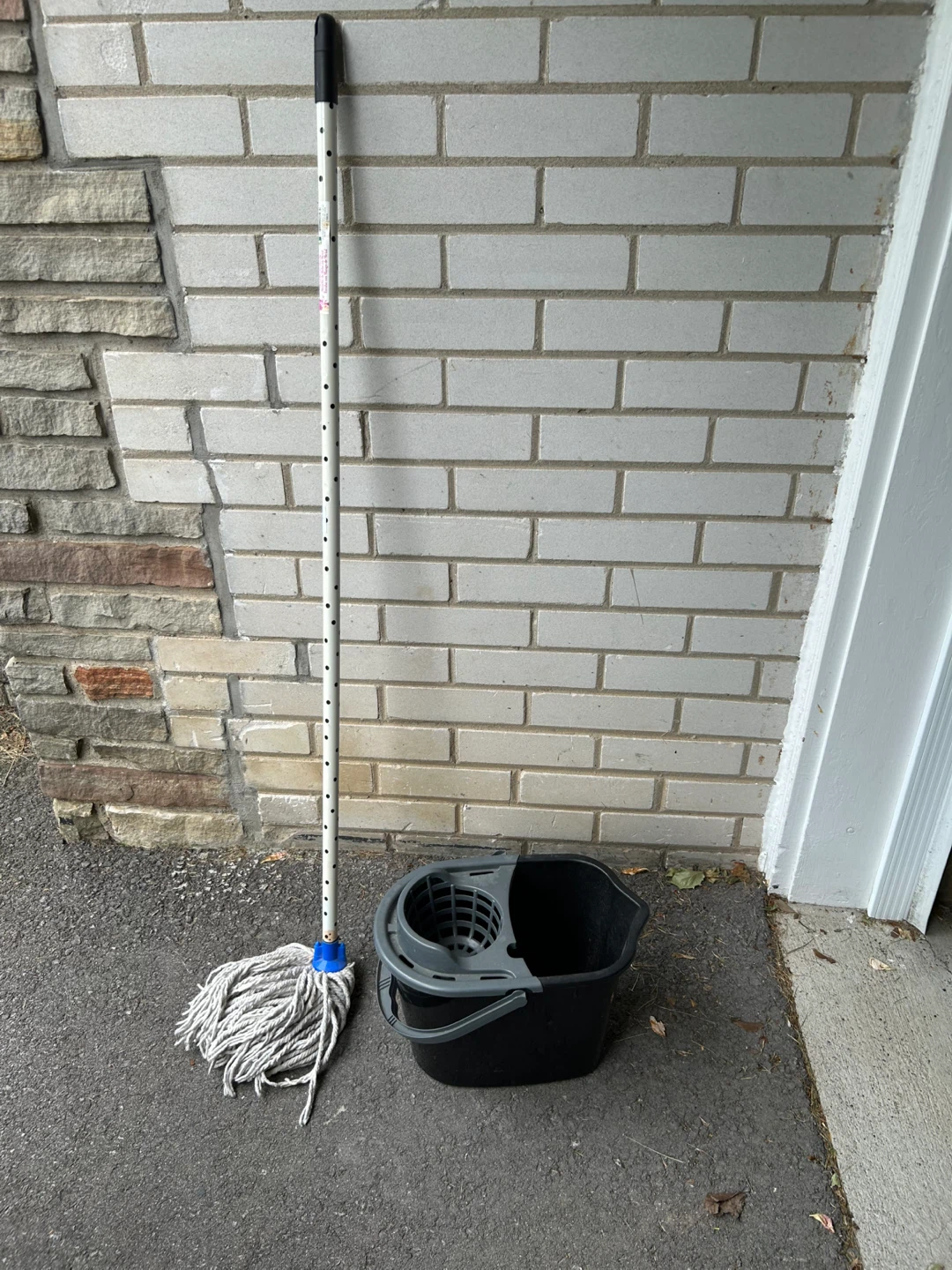 Mop and Bucket Set